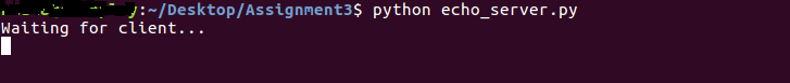  Server Program waiting for client connection