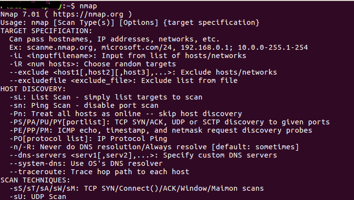 Integrating Port Scanner with Nmap