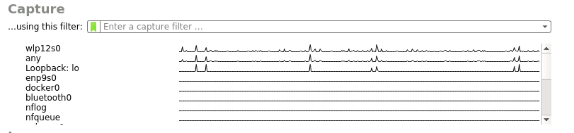 Using Wireshark for network analysis
