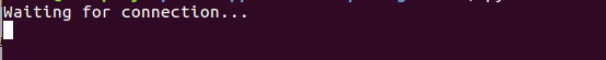 Simple Server Program waiting for client socket