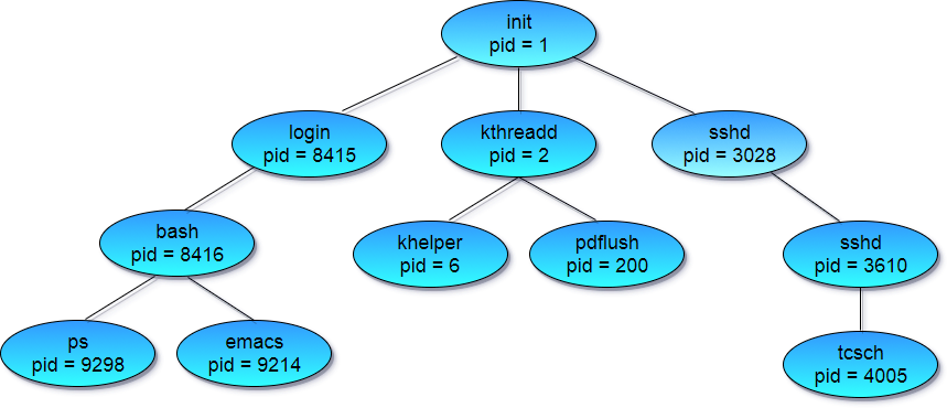 Process Creation in Linux System