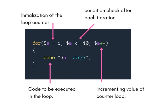 How for loop works in Php