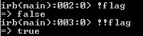 double negation in Ruby